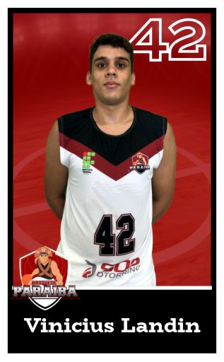 Vinicius Landin